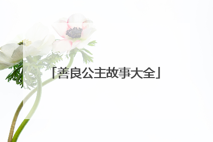 善良公主故事大全