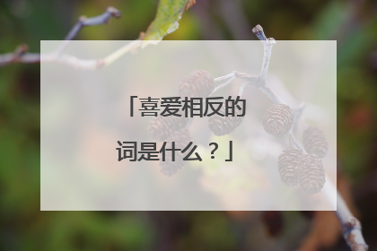 喜爱相反的词是什么?