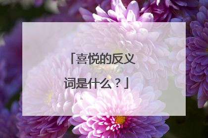 喜悦的反义词是什么？