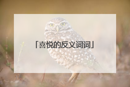 喜悦的反义词词