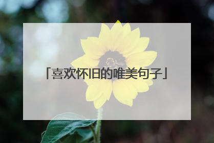 喜欢怀旧的唯美句子