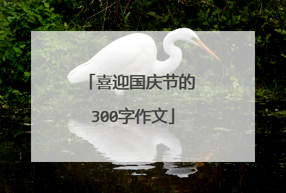 喜迎国庆节的300字作文