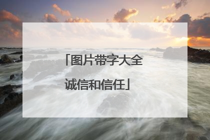 图片带字大全诚信和信任