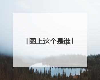 图上这个是谁