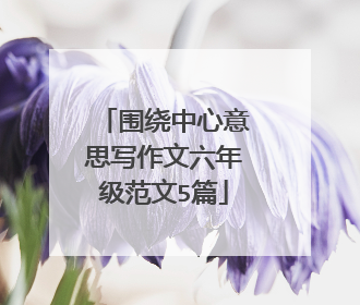 围绕中心意思写作文六年级范文5篇