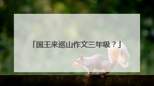 国王来巡山作文三年级？