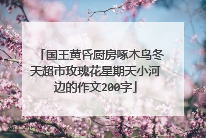 国王黄昏厨房啄木鸟冬天超市玫瑰花星期天小河边的作文200字