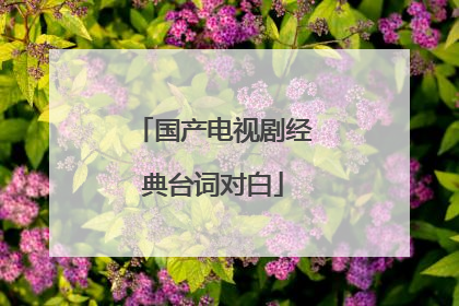 国产电视剧经典台词对白