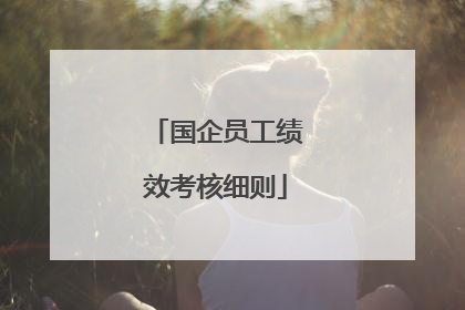 国企员工绩效考核细则