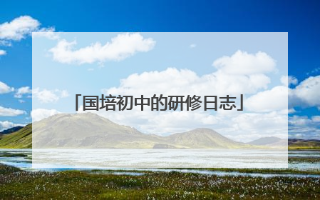 国培初中的研修日志