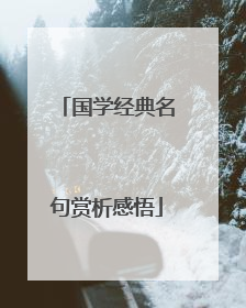 国学经典名句赏析感悟