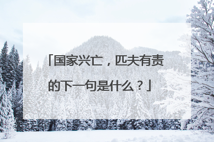 国家兴亡,匹夫有责的下一句是什么?