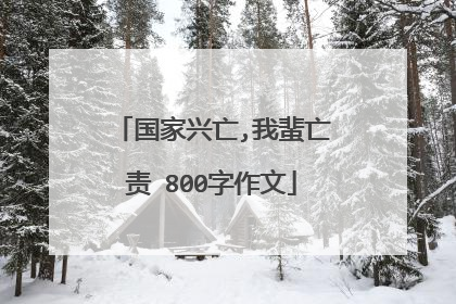国家兴亡,我蜚亡责 800字作文