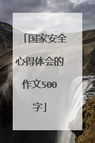 国家安全心得体会的作文500字