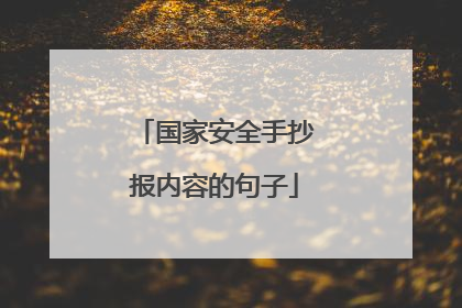 国家安全手抄报内容的句子