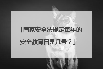 国家安全法规定每年的安全教育日是几号?