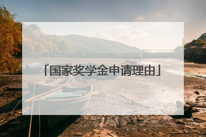 国家奖学金申请理由
