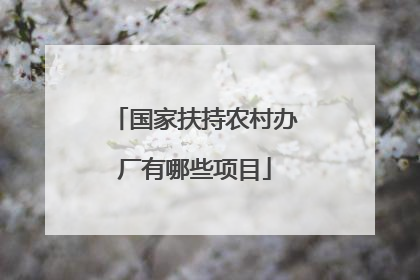 国家扶持农村办厂有哪些项目