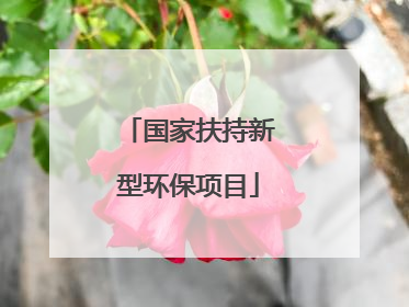 国家扶持新型环保项目