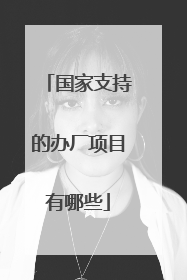 国家支持的办厂项目有哪些