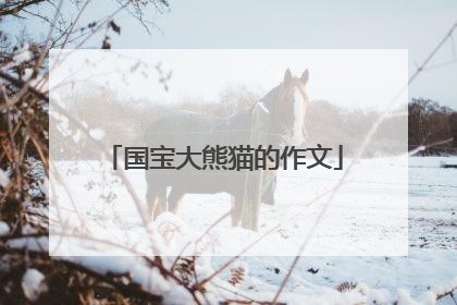 国宝大熊猫的作文
