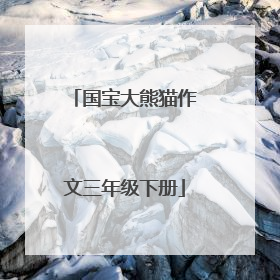 国宝大熊猫作文三年级下册