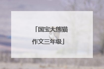 国宝大熊猫作文三年级