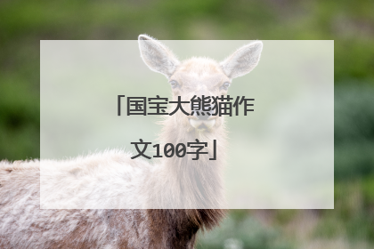 国宝大熊猫作文100字