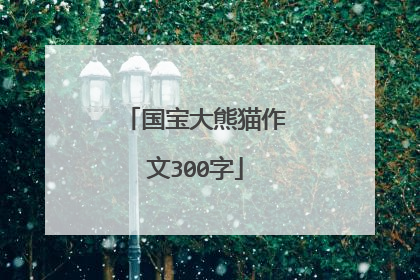 国宝大熊猫作文300字