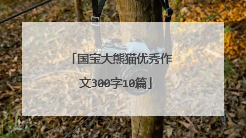 国宝大熊猫优秀作文300字10篇