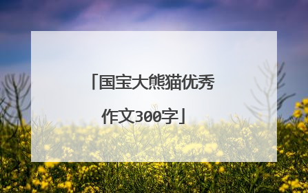 国宝大熊猫优秀作文300字