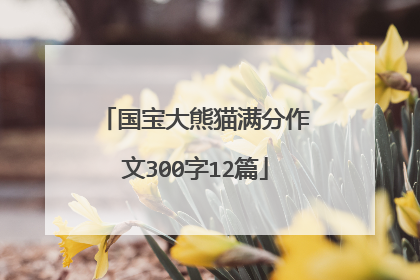 国宝大熊猫满分作文300字12篇