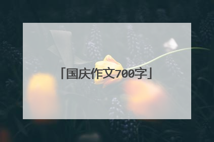 国庆作文700字