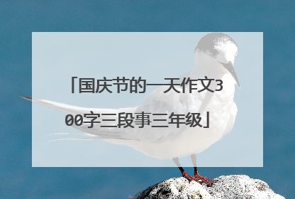 国庆节的一天作文300字三段事三年级