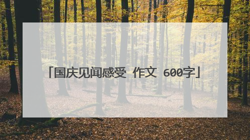 国庆见闻感受 作文 600字