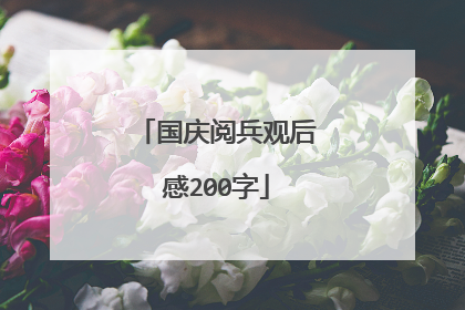 国庆阅兵观后感200字