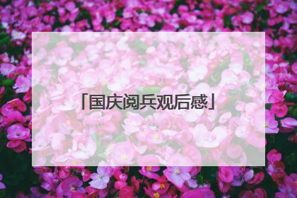 国庆阅兵观后感