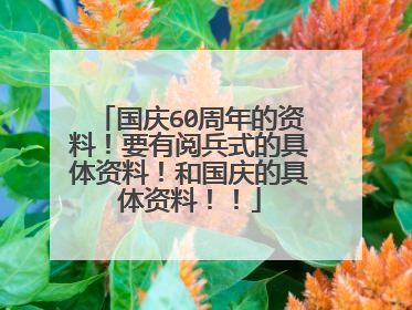 国庆60周年的资料！要有阅兵式的具体资料！和国庆的具体资料！！