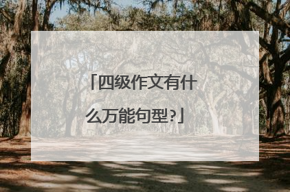 四级作文有什么万能句型?
