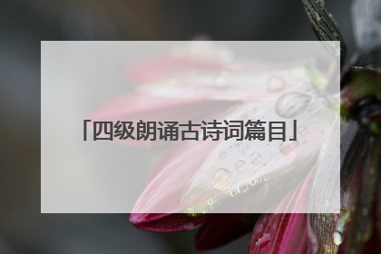 四级朗诵古诗词篇目