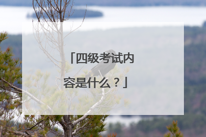 四级考试内容是什么?