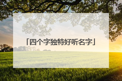 四个字独特好听名字
