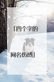 四个字的网名伤感