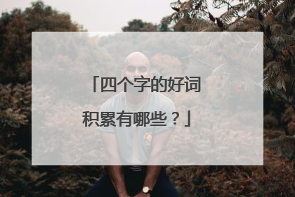 四个字的好词积累有哪些？