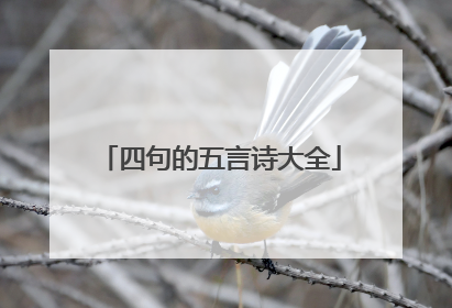 四句的五言诗大全