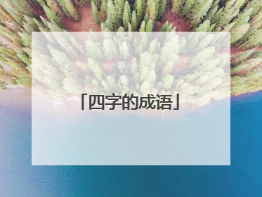四字的成语