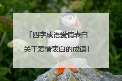 四字成语爱情表白 关于爱情表白的成语