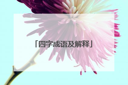 四字成语及解释