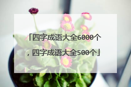 四字成语大全6000个,四字成语大全500个