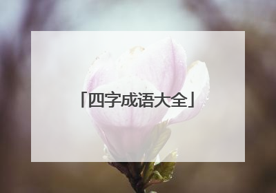 四字成语大全